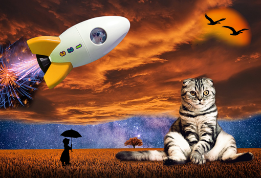 When Cat's Dream Cat sitting in a surreal, spacey world with a toy spaceship and the silhouette of a lady with an umbrella
