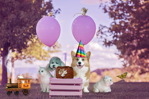 Pet Party Cats, dogs and mice at a birthday picnic with pink balloons